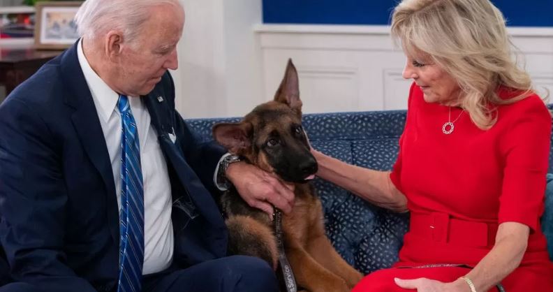 Biden family's dog leaves White House after biting incidents