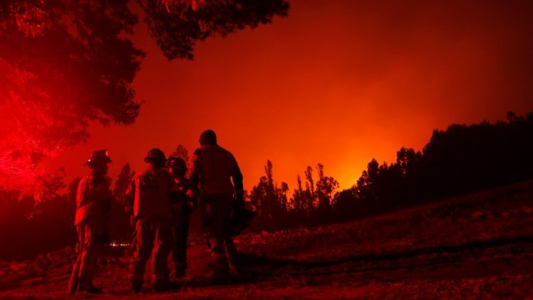 Wildfires in Chile have killed twenty four people, injured more than a thousand