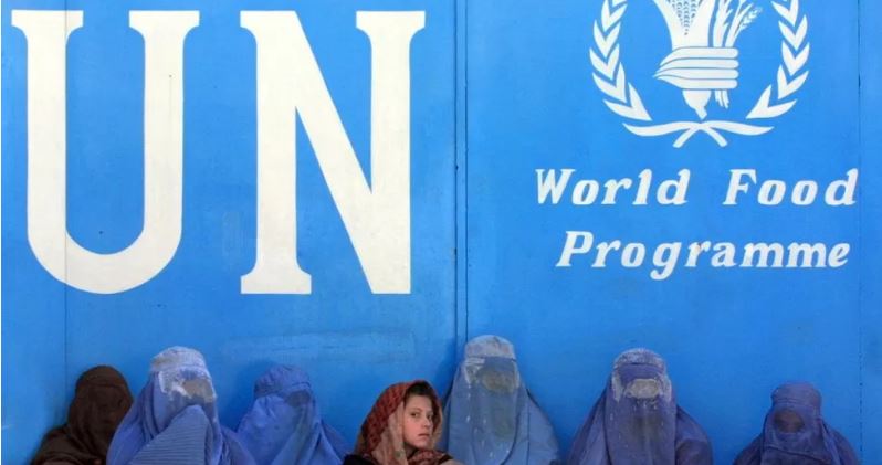 Taliban: Afghan women banned from working for UN